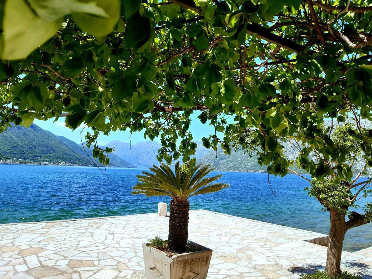 Apartments Sonja Kotor Bagian luar foto